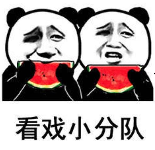 娱乐吃瓜表情图片